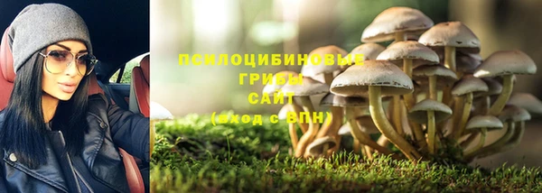 бошки Волосово