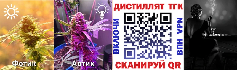 ТГК Wax  Галич 