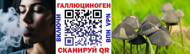 мега зеркало  где можно купить наркотик  Галич  Псилоцибиновые грибы GOLDEN TEACHER 